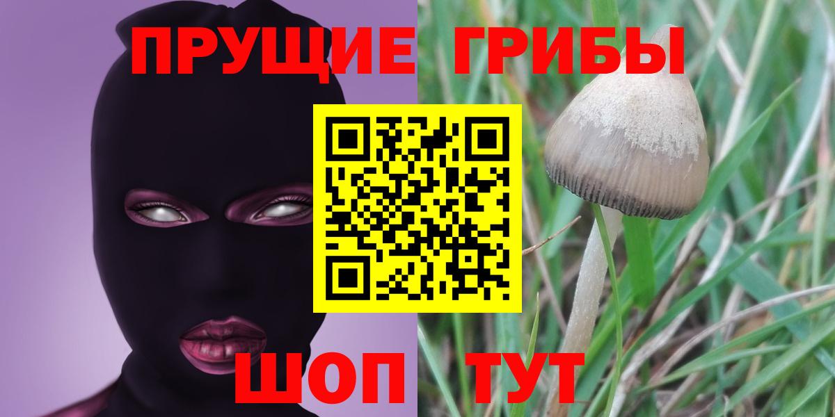 Псилоцибиновые грибы мицелий  Вход с VPN  Осинники 
